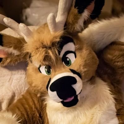 kinterdeer Profile Picture