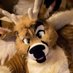 Kinter 🔜FWA🌱 (@kinterdeer) Twitter profile photo