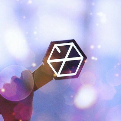 An EXO-L whose biases are all 9 of EXO❤️