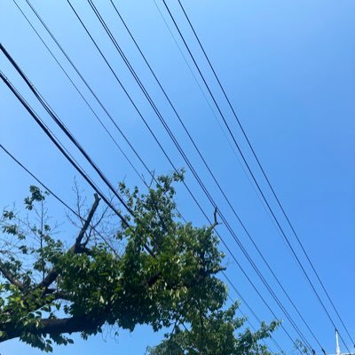 warning_S2's profile picture. 옛날 오타쿠, 대충 사는 사람