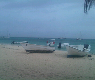 alessabrafe's profile picture. 