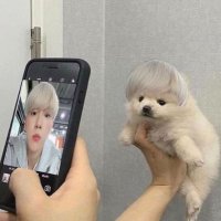 ๋ฆฐ (@exbaektation) 's Twitter Profile Photo ๋ฆฐ (@exbaektation) 's Twitter Profile Photo