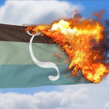 EndZooeys's profile picture. Follow this account if you agree that zoophilia is a crime.
Will block/bully you if you are a zoophile