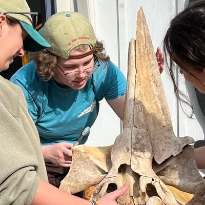 senior @ ncsu / enjoyer of cetaceans, their bones, and their biomechanics