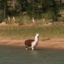 Greg Cooley - @cooltotheE - Twitter