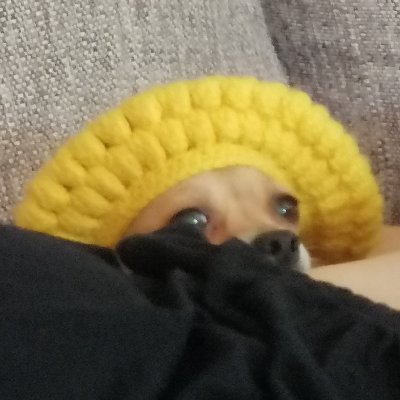 sdelrinconm's profile picture. 