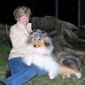TallywoodCollie's profile picture. Collie breeder, exhibitor, AKC judge.  Proud supporter of purebred dogs and their people.  Politics is fun, too.