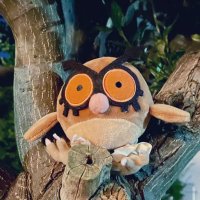 ホーホーのノワたん🦉(@H20C10_Hoothoot) 's Twitter Profile Photo