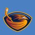 Atlanta Thrashers (@NotThrashers) Twitter profile photo