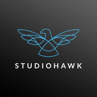 StudioHawk is a Google Partner Specialist agency focused on search engine optimisation. We offer responsive, ethical, and authentic SEO services.