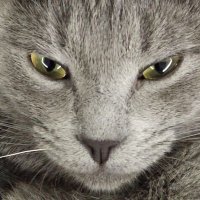 Erhan Duman (@_erhanduman_) 's Twitter Profile