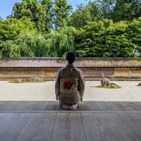 Camellia Tea Ceremony(@camelliakyoto) 's Twitter Profile Photo