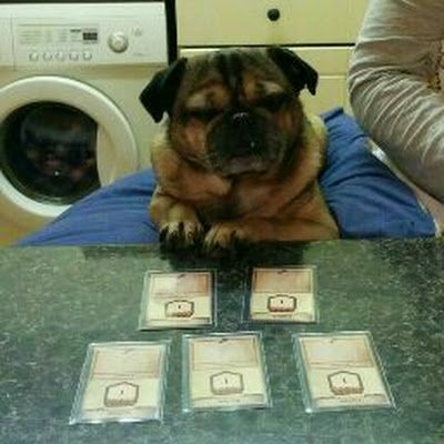 JoWakefiel91649's profile picture. 