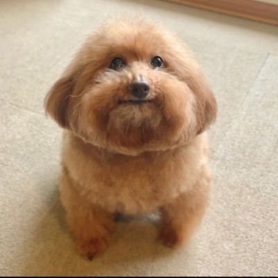 Misguel3's profile picture. Elesdescobriram ondeeumoro não é maisNecessario se EsconderdaSilva