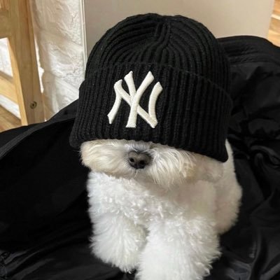 irlandajanitzi's profile picture. she/ella || 🇲🇽🦋|| 🌮🧋 for shits & giggles