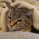 anna walz - @annawalz747788 - Twitter