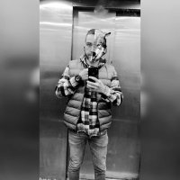 𝐖𝐨𝐥𝐟 (@themrwolf_) 's Twitter Profile