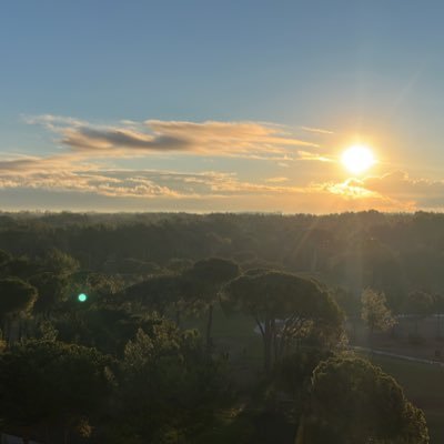 elbandi17's profile picture. Just a small Account who try to Make it to a big Gallery. @sorare