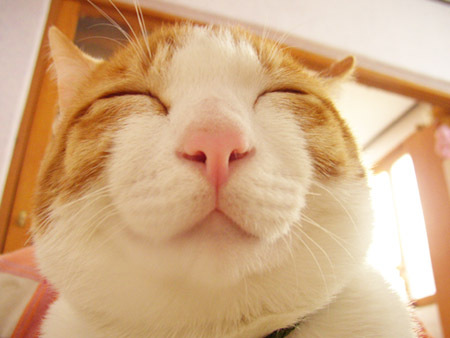 minha939's profile picture. 