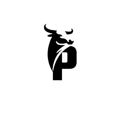 ProTraders_IR's profile picture. ما ترجیح میدیم که برای پول درآوردن، تو بازار فارکس معامله کنیم!