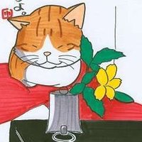 赤裸々エコ/ダメ人間【ら抜き言葉は認めません】 (@sekiraraeco) 's Twitter Profile