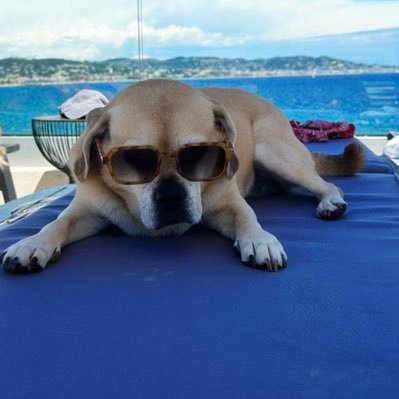 bread_and_honey's profile picture. 