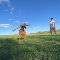 Hohlden Dixon (@demy1303) 's Twitter Profile