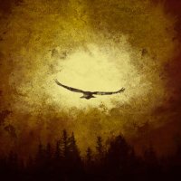 Irial_OS (@irial_os) 's Twitter Profile Photo Irial_OS (@irial_os) 's Twitter Profile Photo