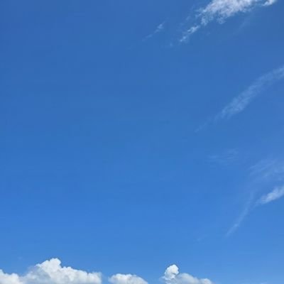 dokusho29oishin's profile picture. 記録用