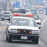 キサラブ (@gsovinfrofrqffd) 's Twitter Profile