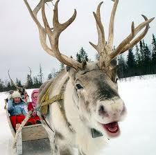 You know what I like about this time of the year? Christmas Music!!