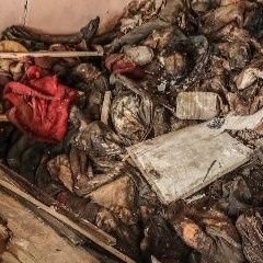 dyingfetus13's profile picture. 