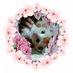 Md Merag (@mdmerag5) Twitter profile photo Md Merag (@mdmerag5) Twitter profile photo