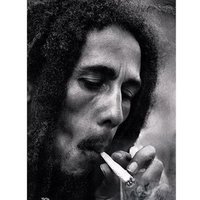 BOB (@bobkriptoo) Twitter profile photo