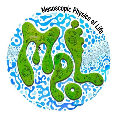 Mesoscopic Physics of Life (MPol) - Weber Group Profile