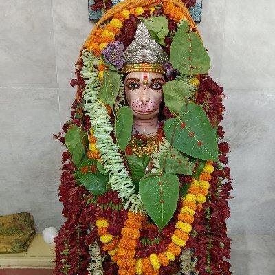 Siya07153932156's profile picture. 