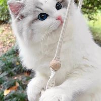 عبير 🍓 (@byrallhyany) 's Twitter Profile