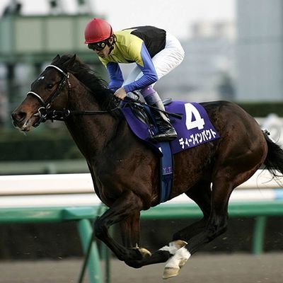 競馬歴は長いですが馬券的中率は初心者🔰です。スポーツ全般好きです。特にソフトバンクホークスのファンです👍