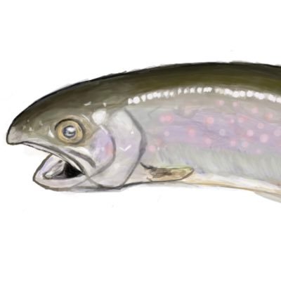 suwosu_bun's profile picture. 表現論を学びたいです/@bun_suwosu