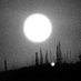 صالح (@salqubaishi) Twitter profile photo