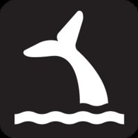 orginux (@orginux) 's Twitter Profile Photo orginux (@orginux) 's Twitter Profile Photo