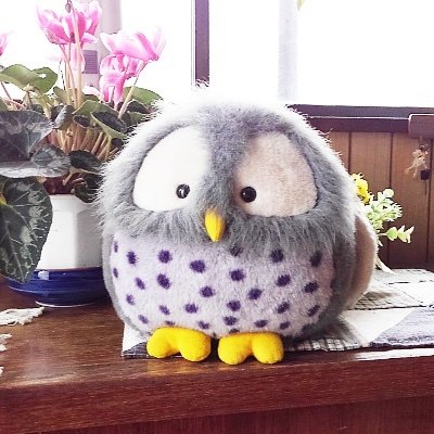 まる子さんのプロフィール画像