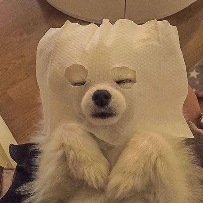 pandaluvmimi's profile picture. 🌻🌕🪐