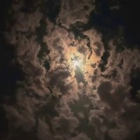 ابن المنيع (@ibnalmanea) 's Twitter Profile