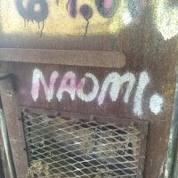 Naomi's Adventures(@NaomisAdve75894) 's Twitter Profileg