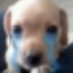 AsperCloy (@asper_cloy) Twitter profile photo AsperCloy (@asper_cloy) Twitter profile photo