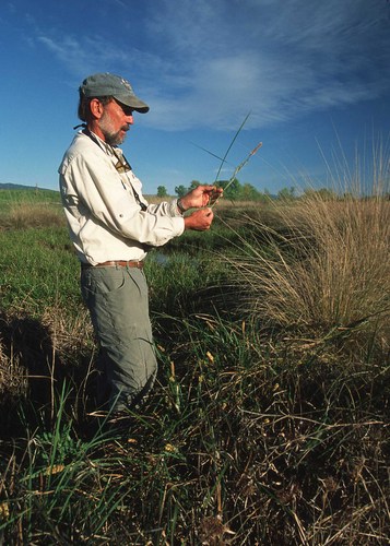 freeProjectplan's profile picture. An avid gardener and woodworker jack has put together a collection of free backyard project plans on his site Free Back Yard Project http://t.co/hRhpPQQde8