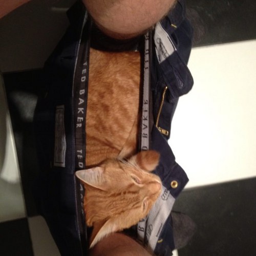 dannygriff81's profile picture. Norristhorpe's Techno Legend