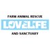 Love Life Animal Rescue (@LoveLifeRescue) Twitter profile photo