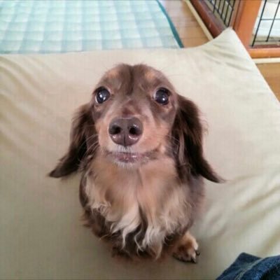 satoshi5759's profile picture. スト値7ナンパ師/昼は営業職夜はナンパ2/16〜再スタート